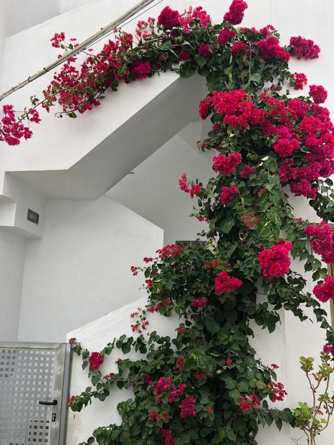 La Ola Apartment *